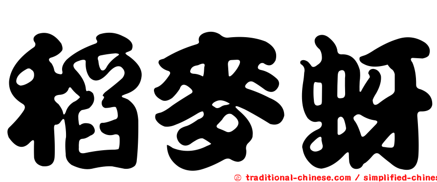 稻麥蚜