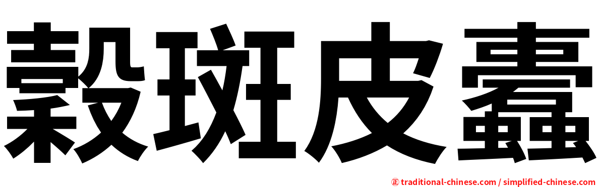 穀斑皮蠹