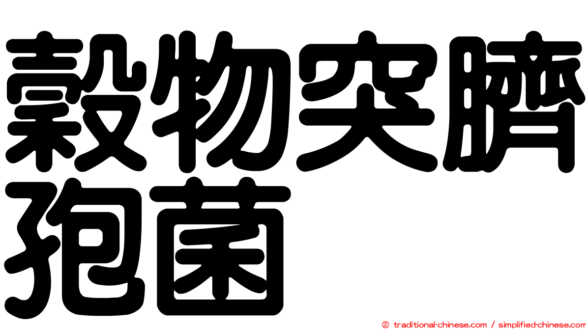 穀物突臍孢菌