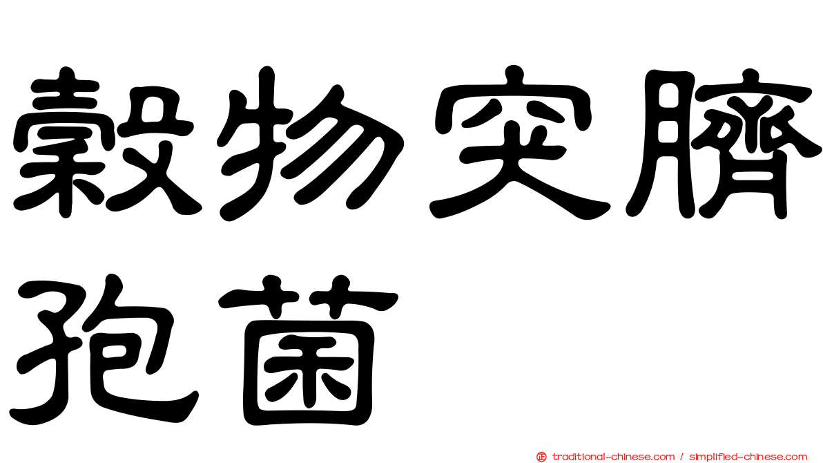 穀物突臍孢菌