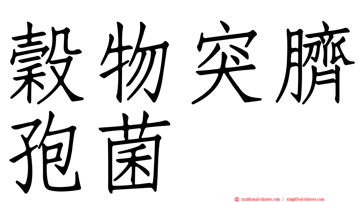 穀物突臍孢菌