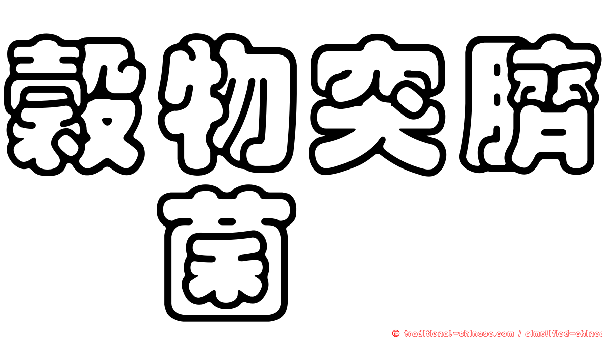 穀物突臍孢菌