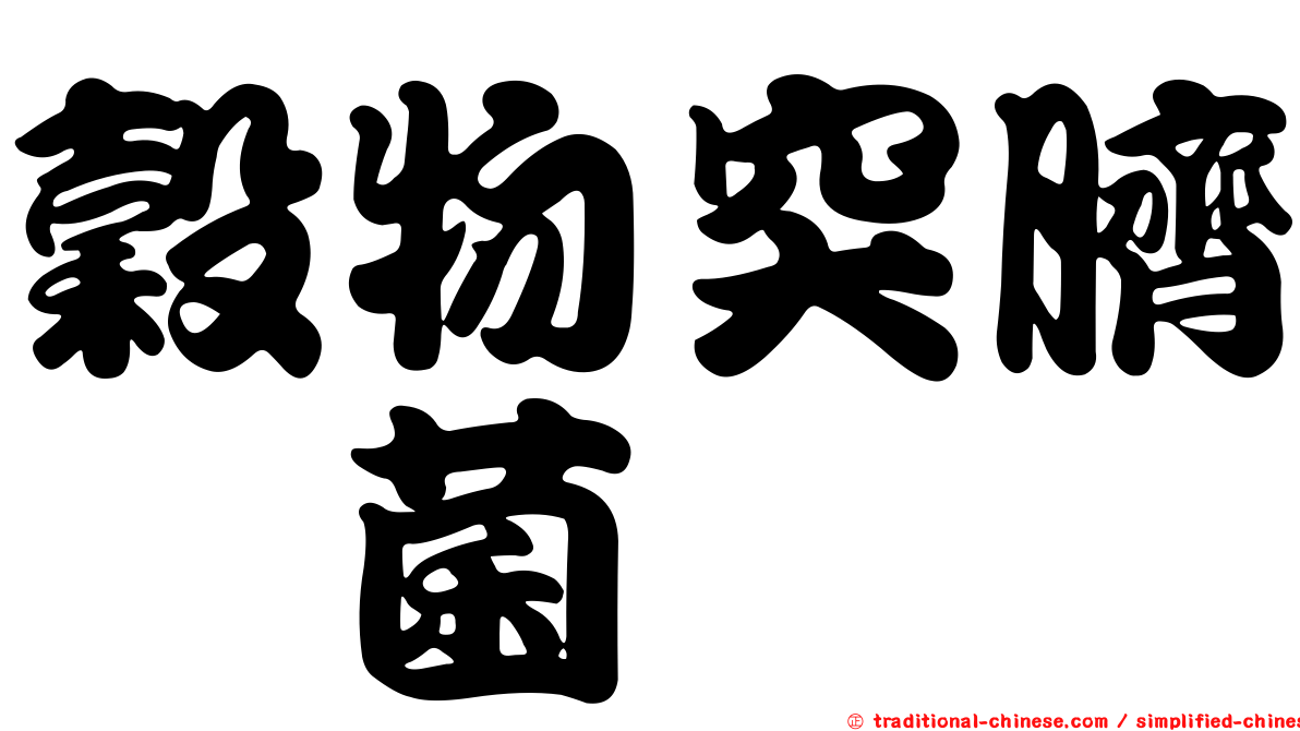 穀物突臍孢菌