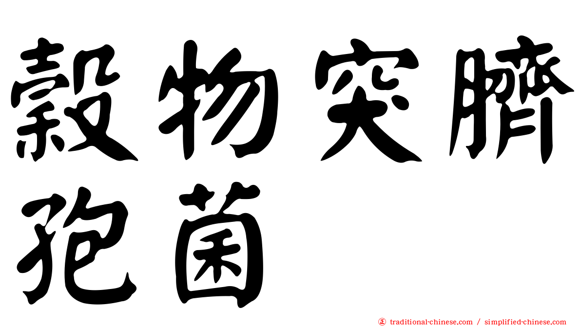 穀物突臍孢菌