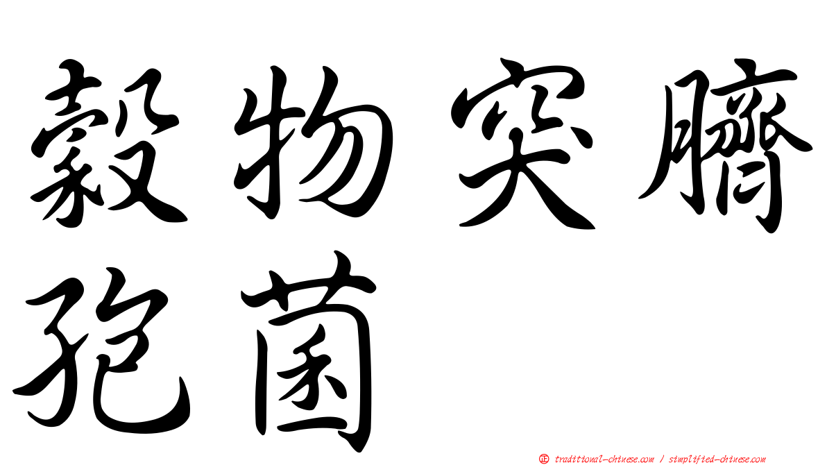 穀物突臍孢菌