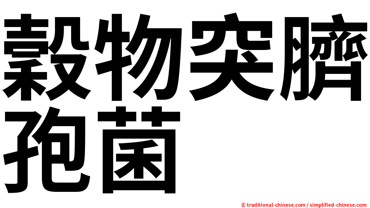 穀物突臍孢菌