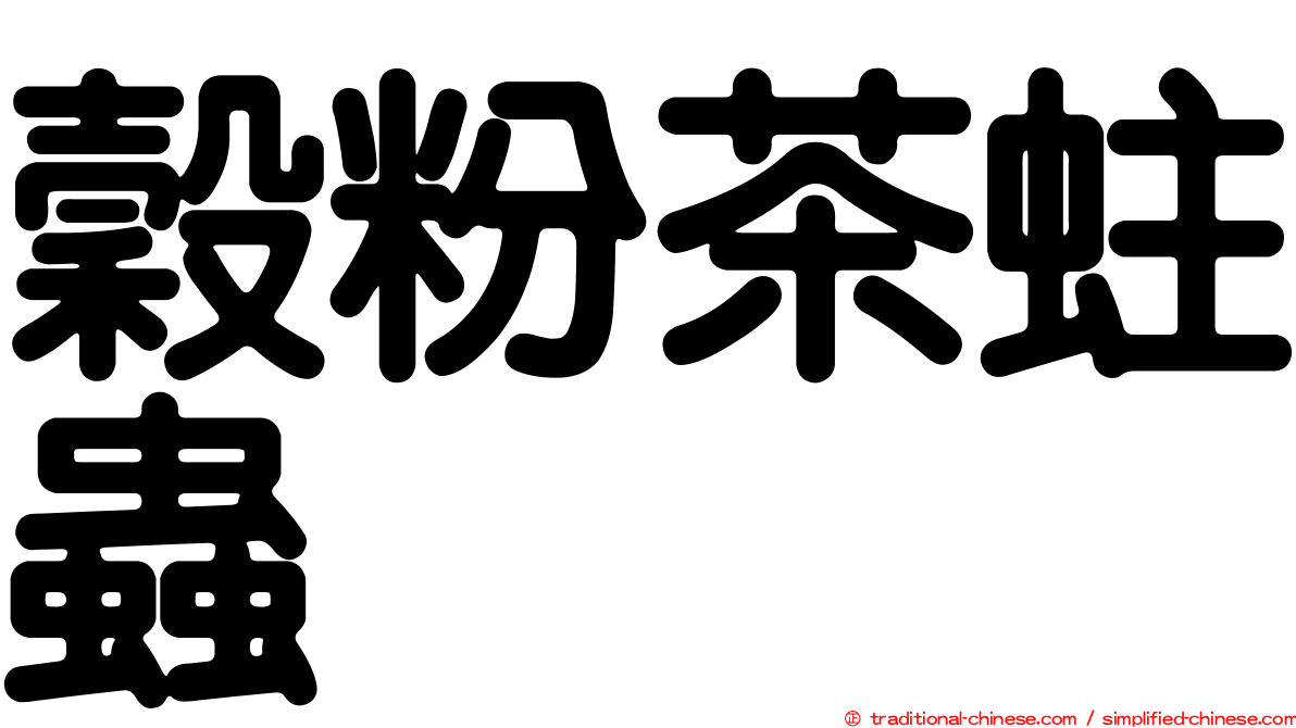 穀粉茶蛀蟲