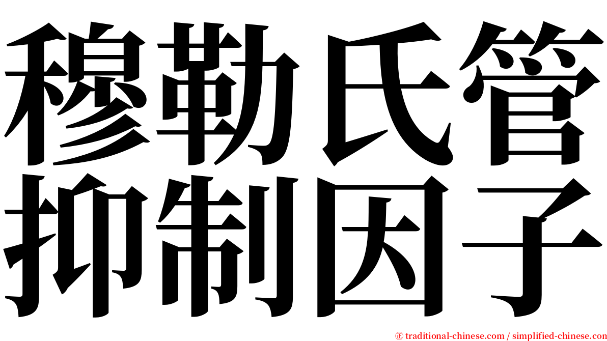 穆勒氏管抑制因子 serif font