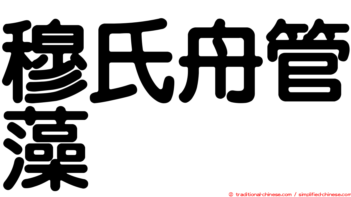 穆氏舟管藻