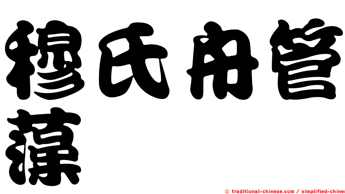 穆氏舟管藻