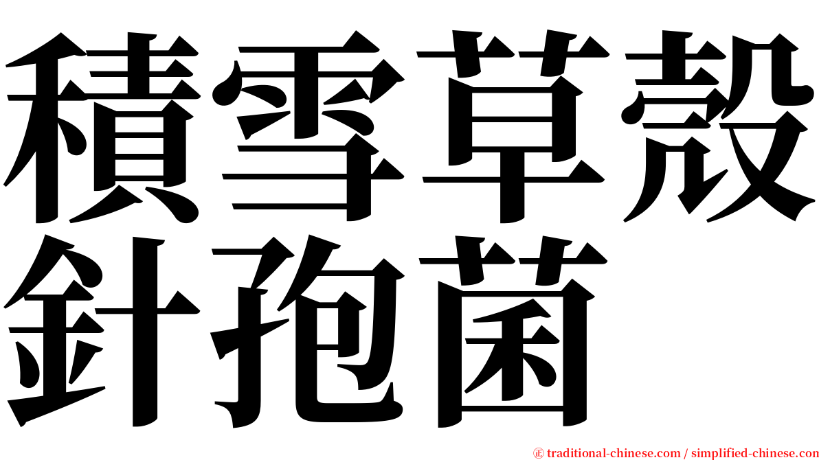 積雪草殼針孢菌 serif font