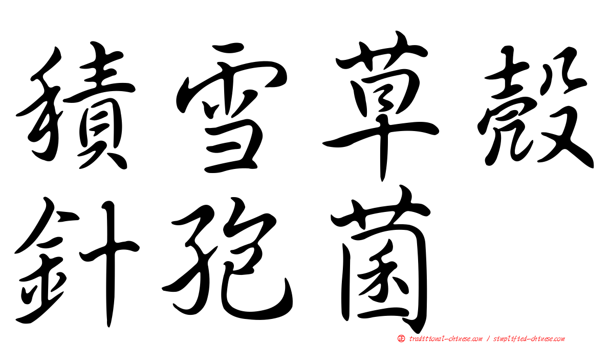 積雪草殼針孢菌