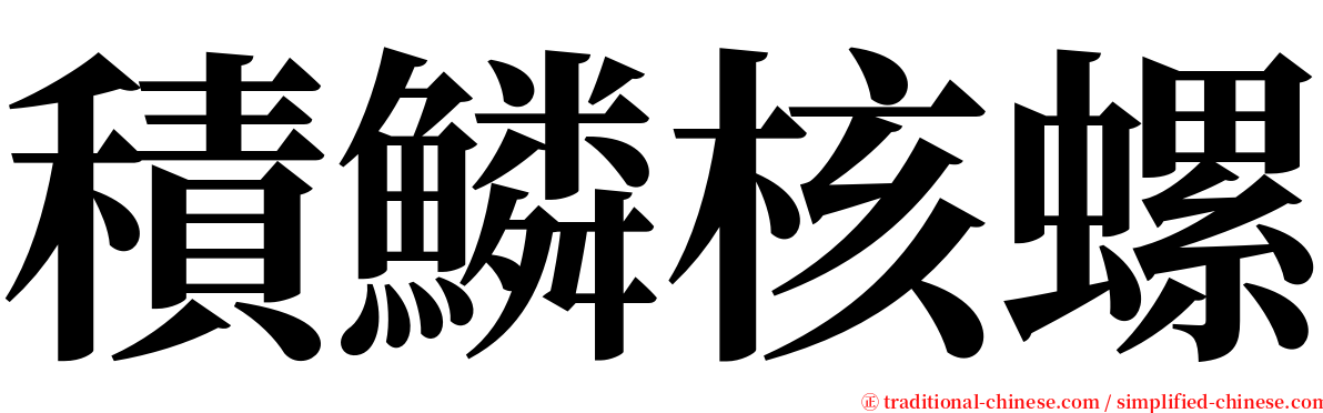 積鱗核螺 serif font