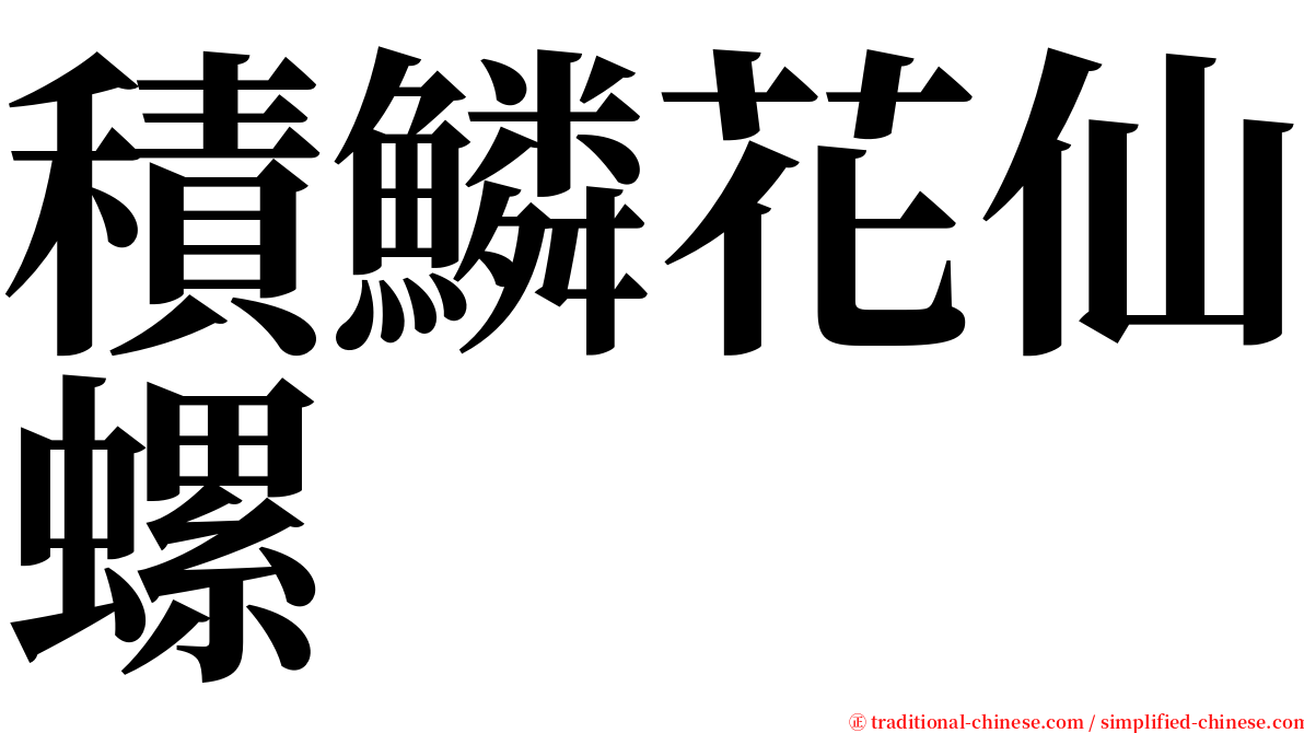 積鱗花仙螺 serif font