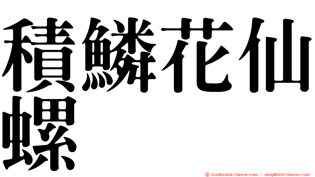 積鱗花仙螺