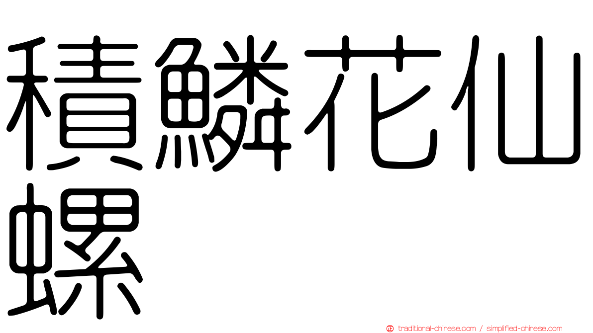 積鱗花仙螺
