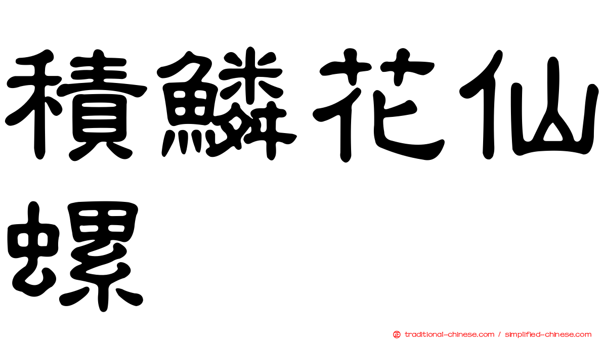 積鱗花仙螺