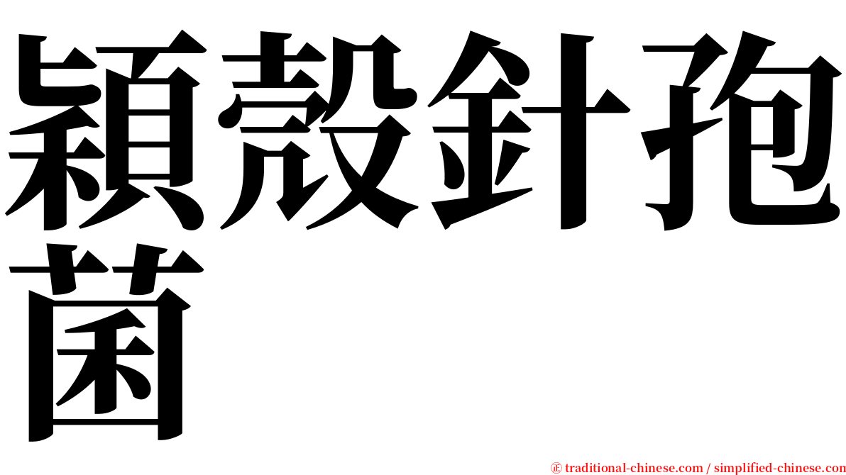 穎殼針孢菌 serif font