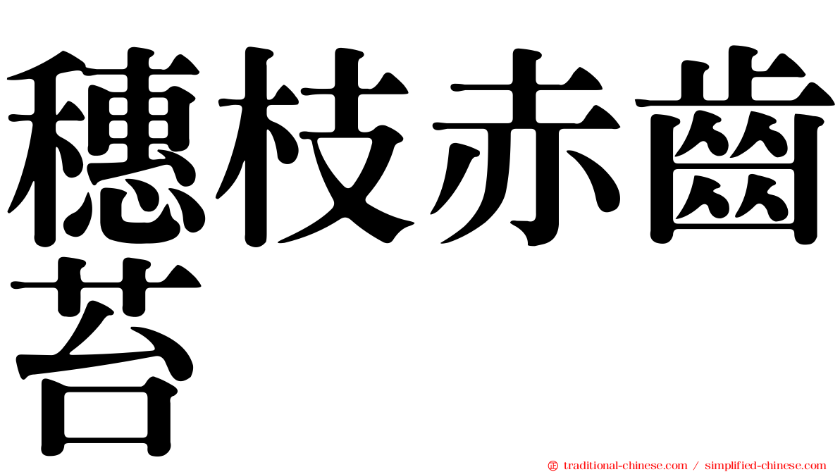 穗枝赤齒苔