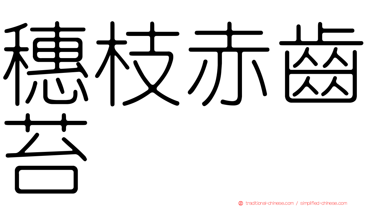 穗枝赤齒苔
