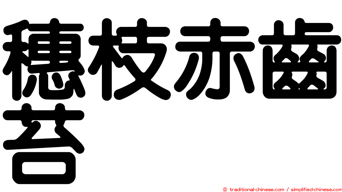 穗枝赤齒苔
