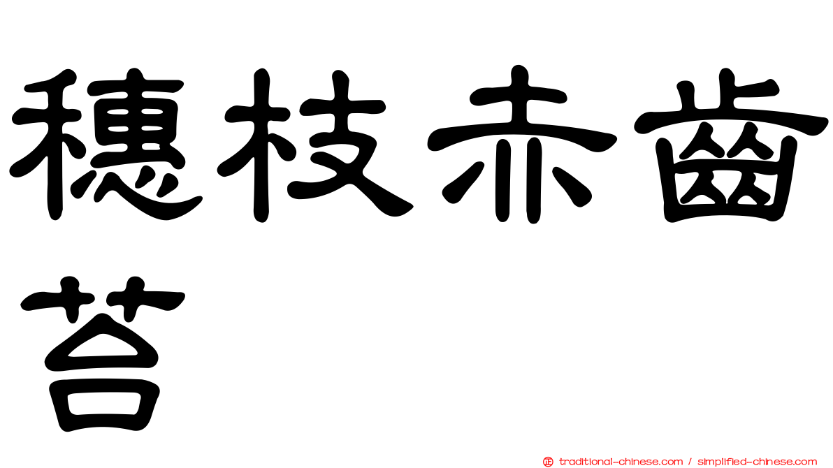 穗枝赤齒苔