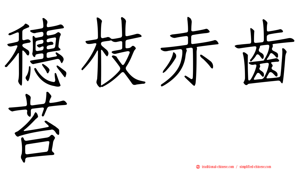 穗枝赤齒苔