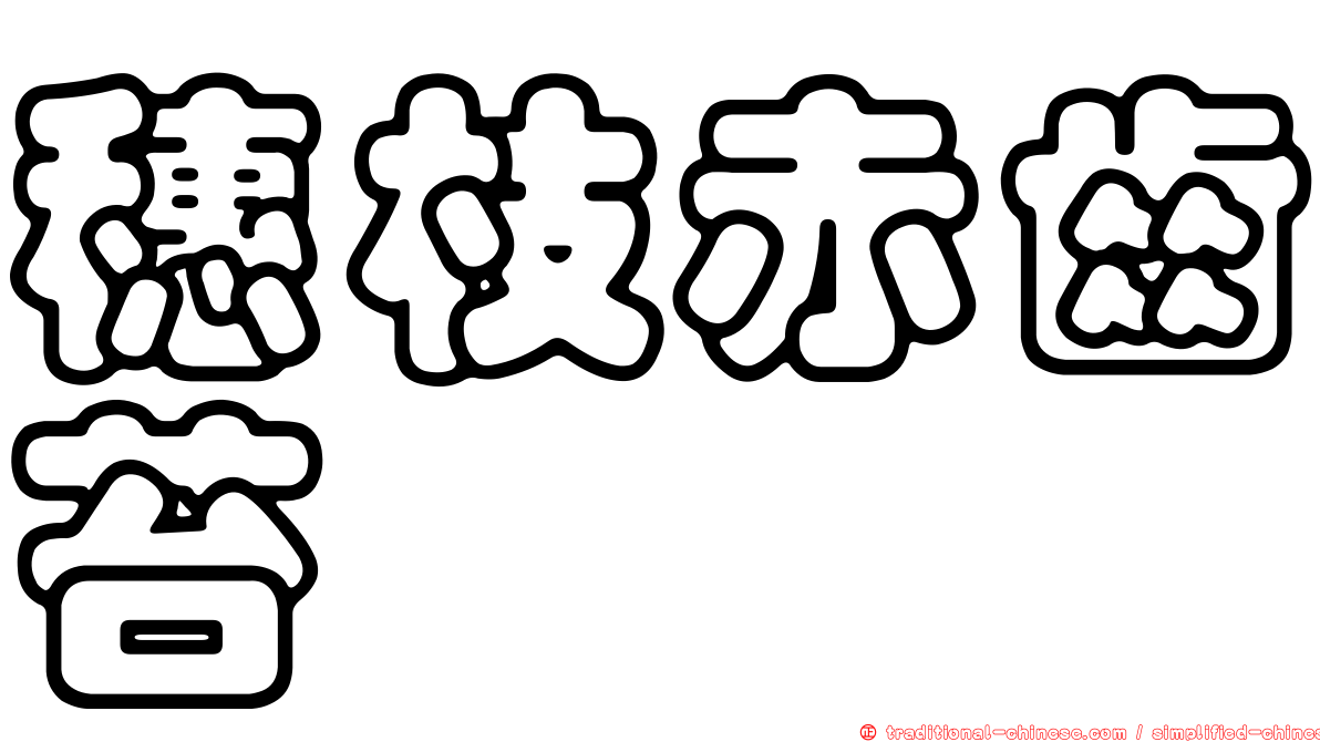 穗枝赤齒苔