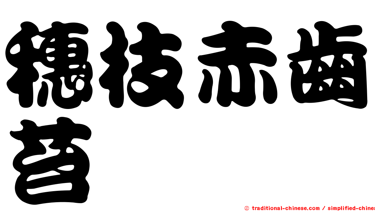 穗枝赤齒苔
