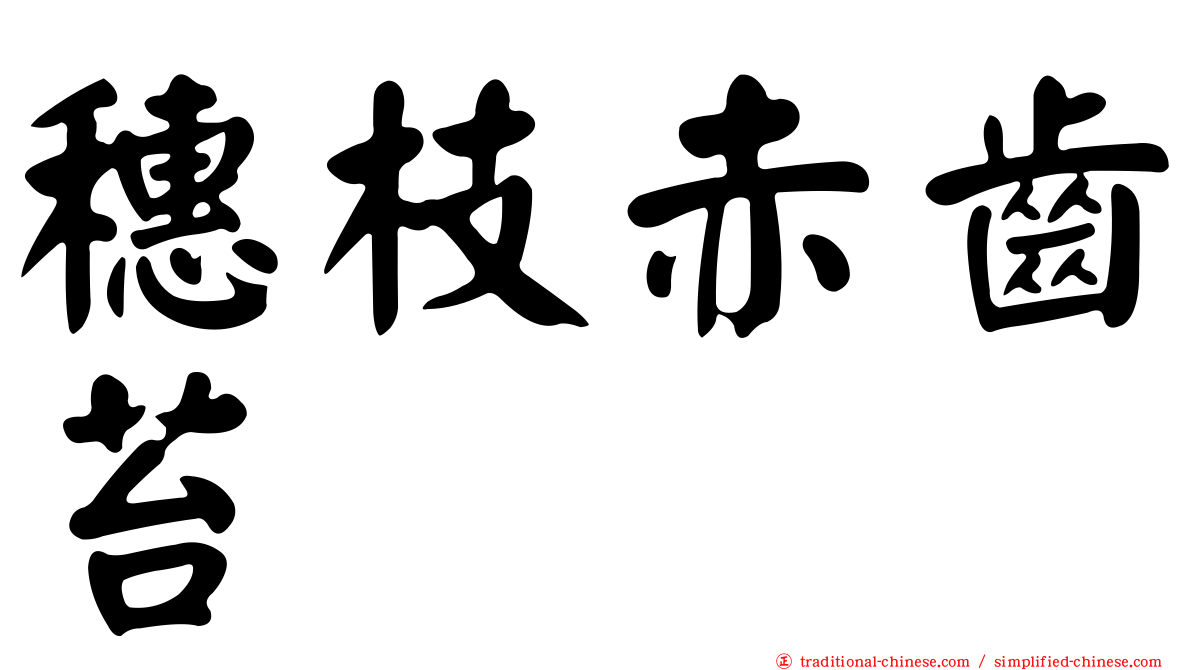 穗枝赤齒苔