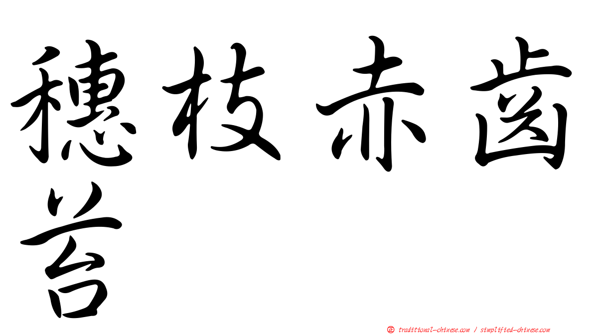 穗枝赤齒苔