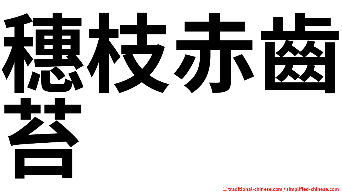 穗枝赤齒苔