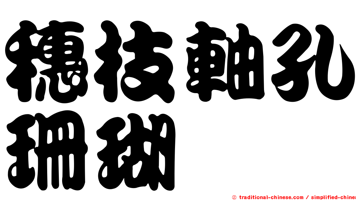 穗枝軸孔珊瑚
