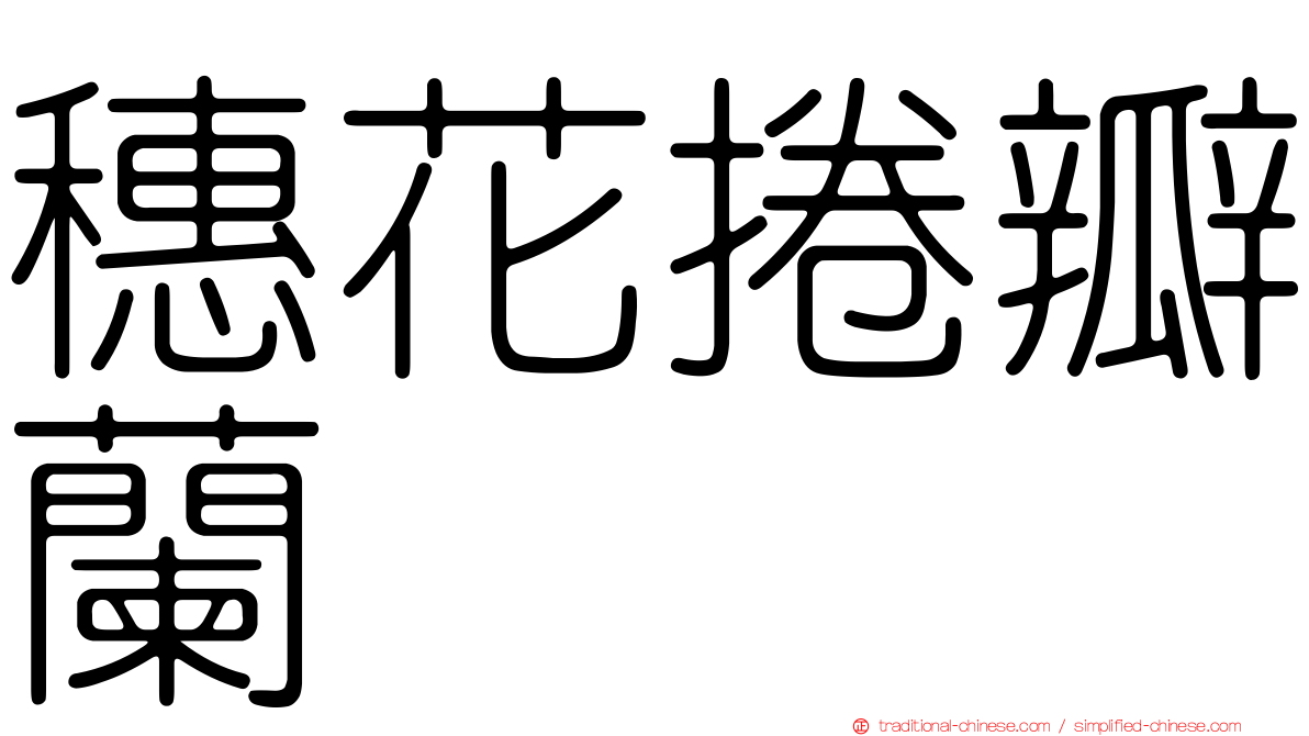 穗花捲瓣蘭