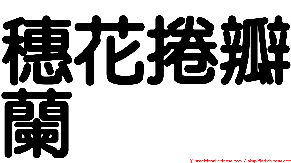 穗花捲瓣蘭