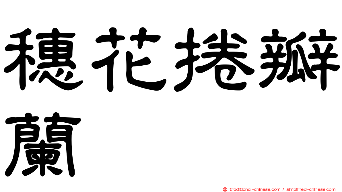 穗花捲瓣蘭