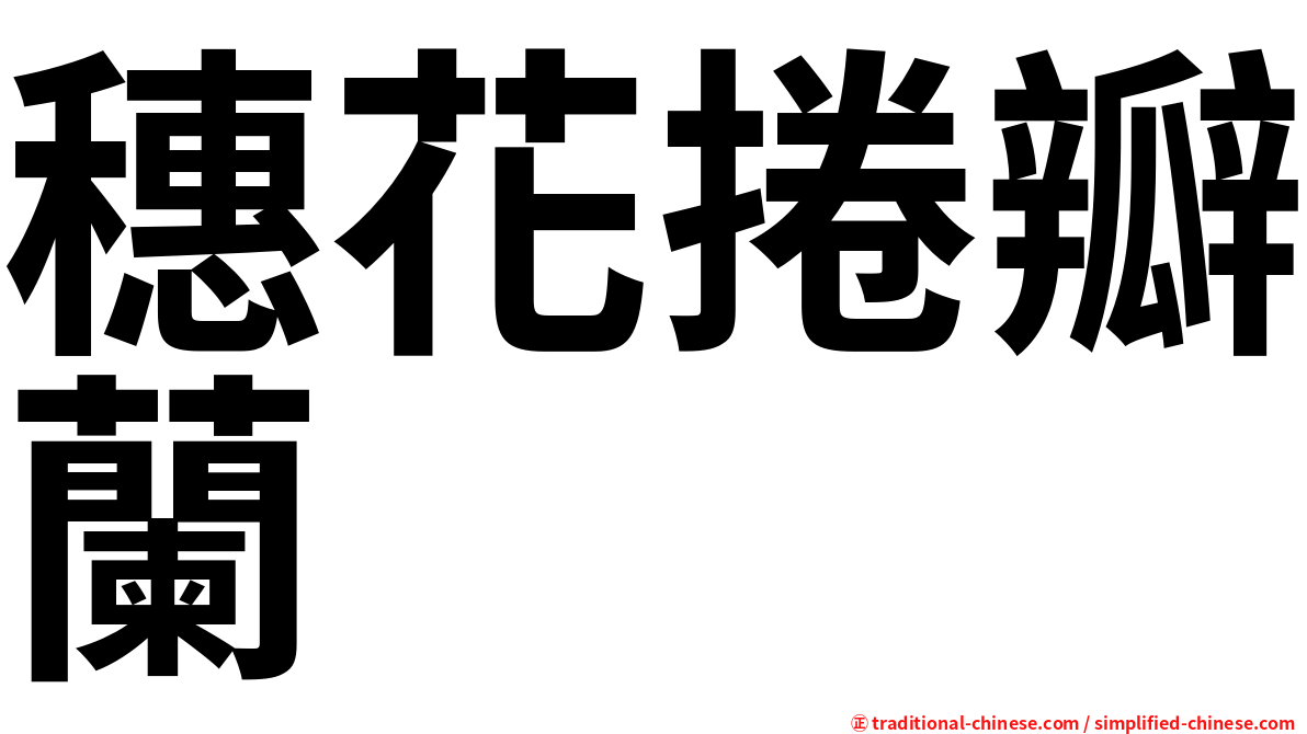穗花捲瓣蘭