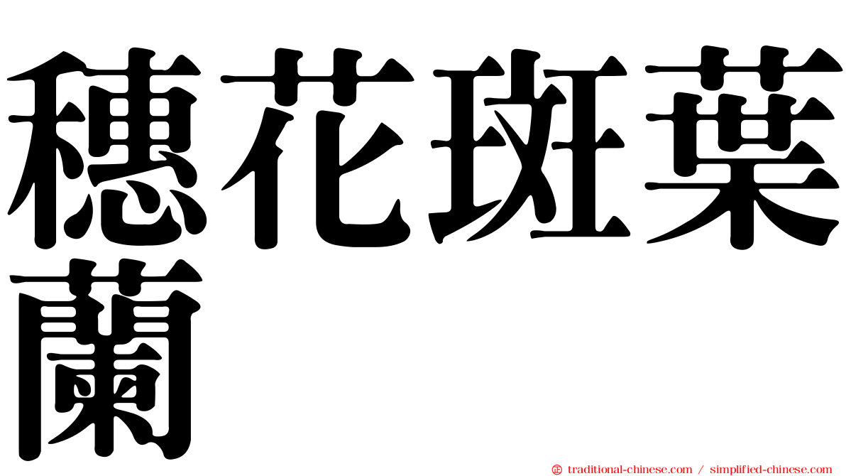 穗花斑葉蘭