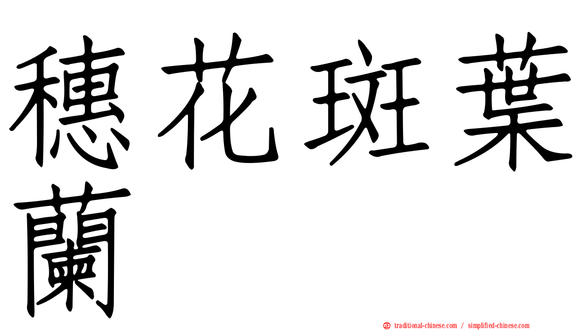 穗花斑葉蘭