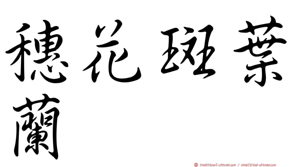 穗花斑葉蘭