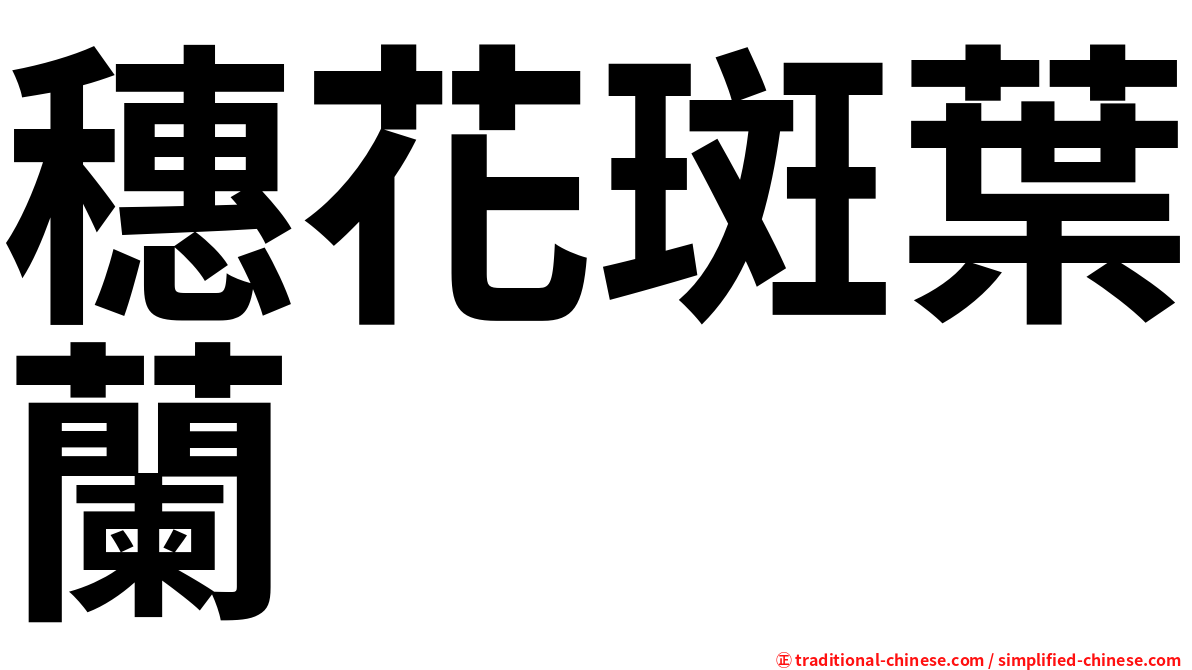 穗花斑葉蘭