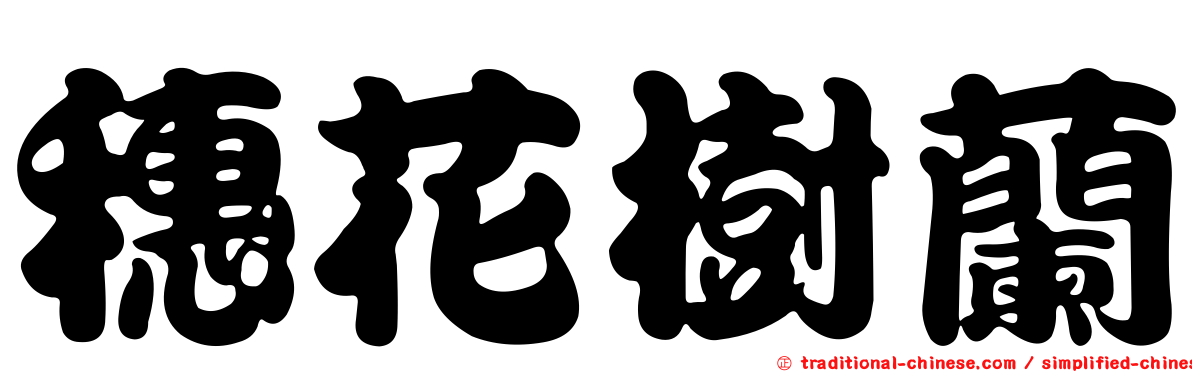 穗花樹蘭