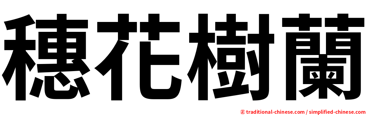 穗花樹蘭