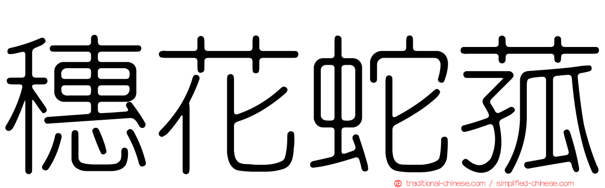 穗花蛇菰