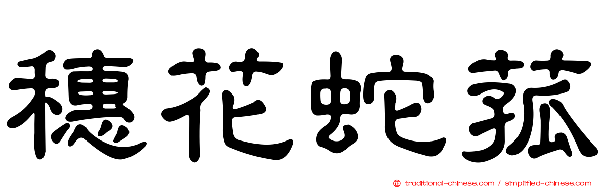穗花蛇菰