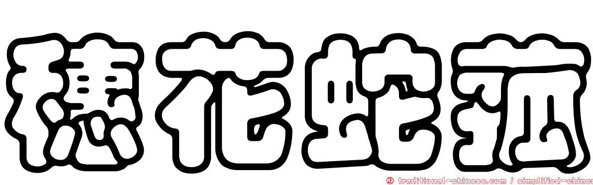 穗花蛇菰