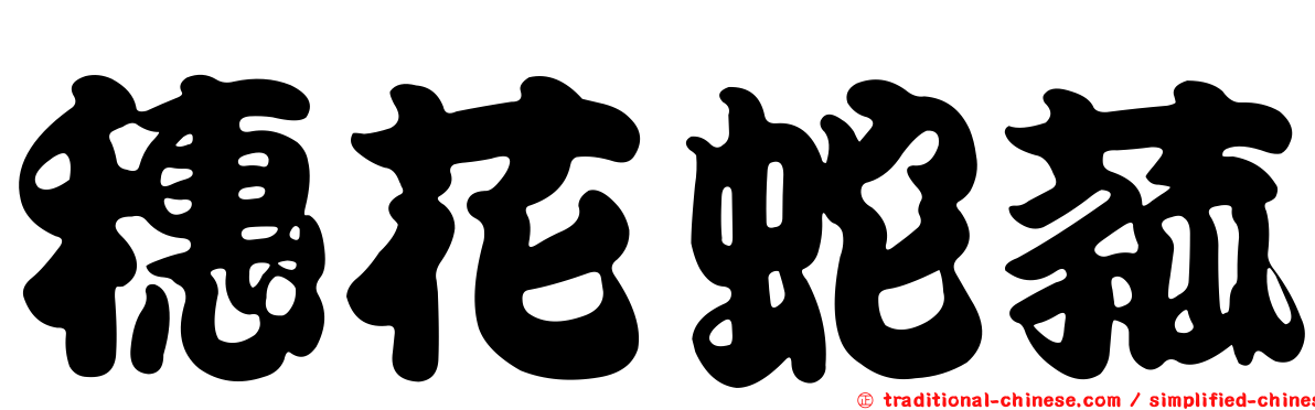 穗花蛇菰