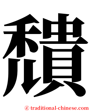 穨 serif font