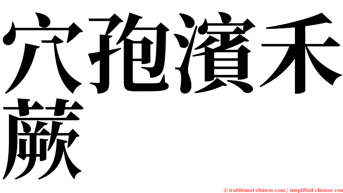 穴孢濱禾蕨 serif font