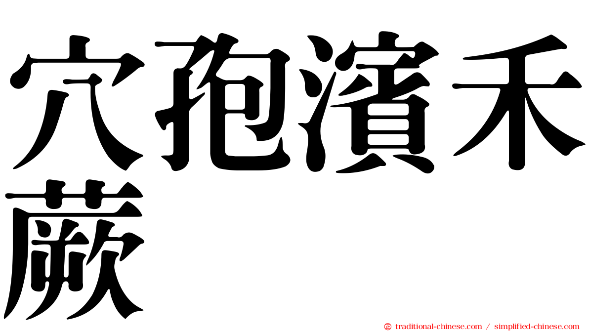 穴孢濱禾蕨